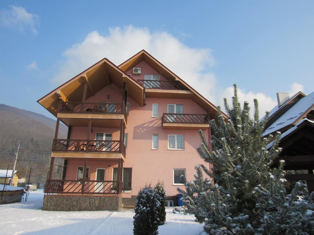 U Neli Hotel Solochin Exterior photo